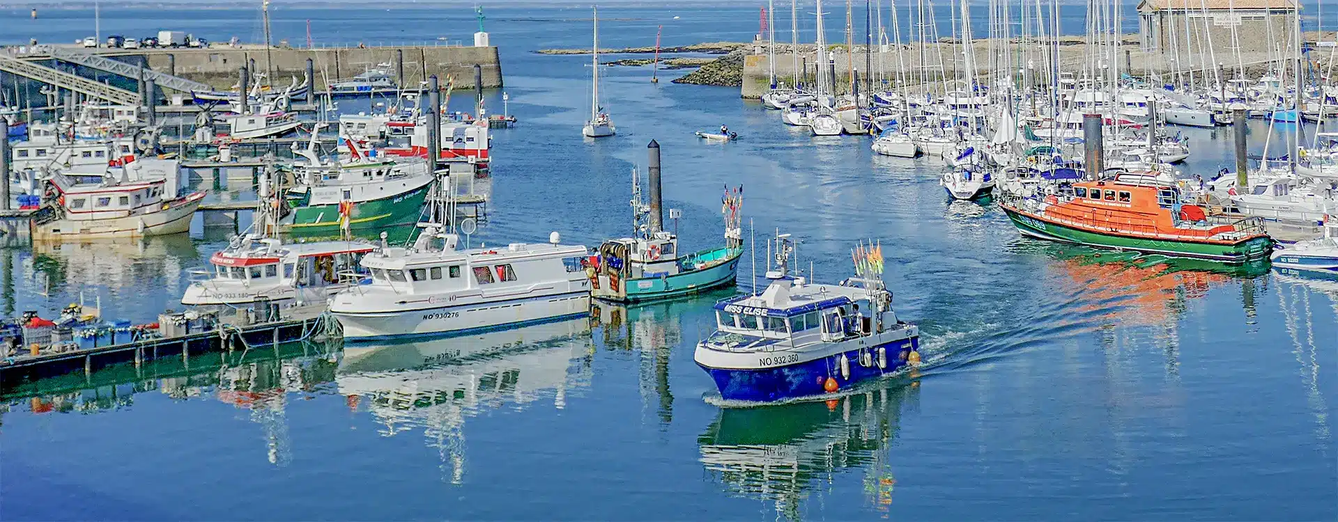 camping noirmoutier en lile les demoiselles