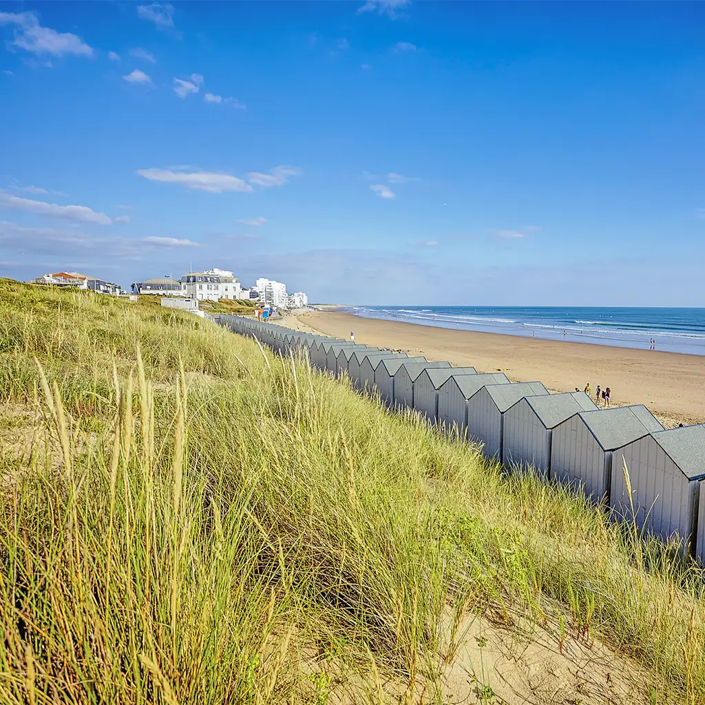 camping saint gilles croix de vie les demoiselles