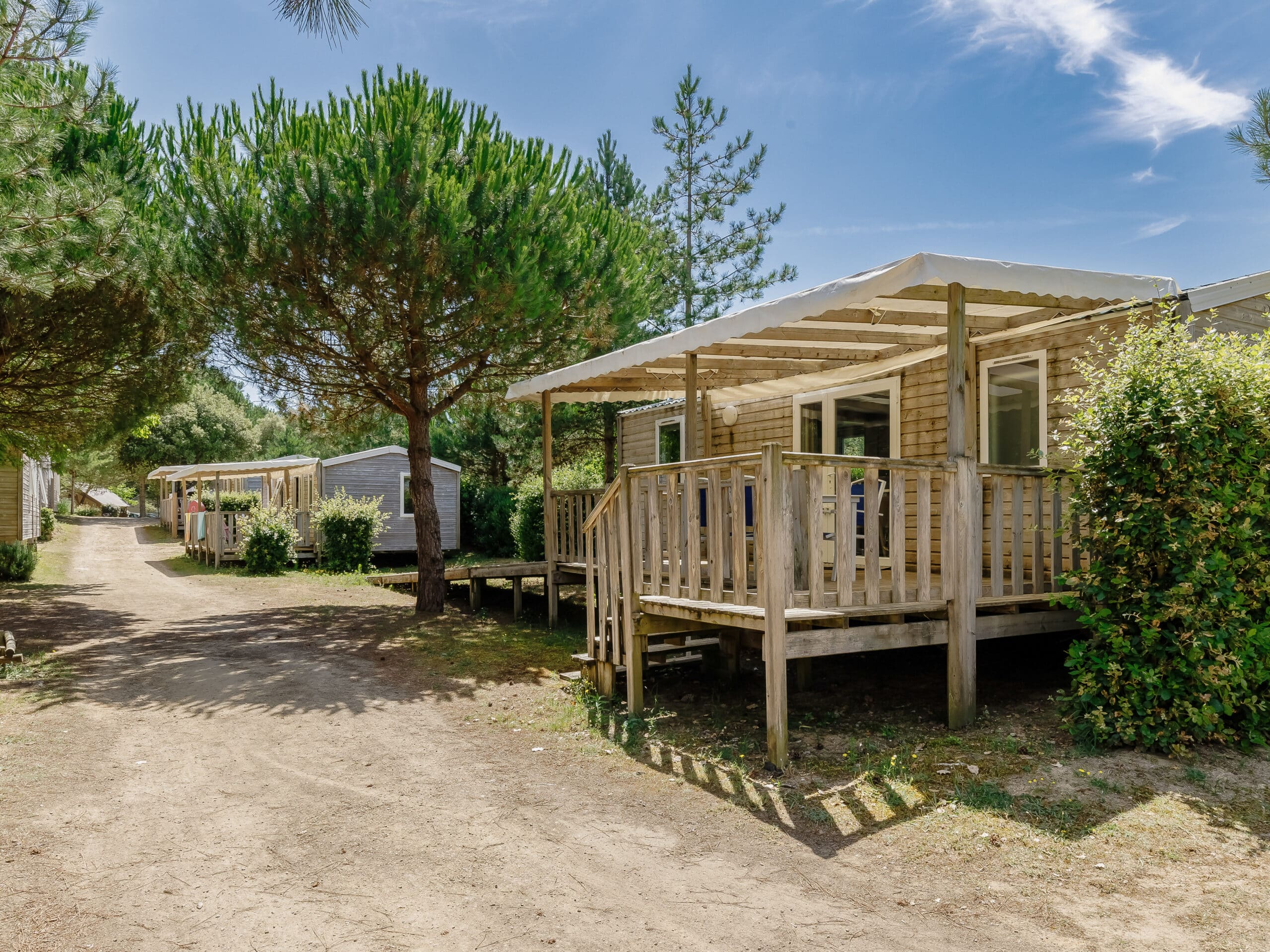 10 flowercamping demoiselles MH