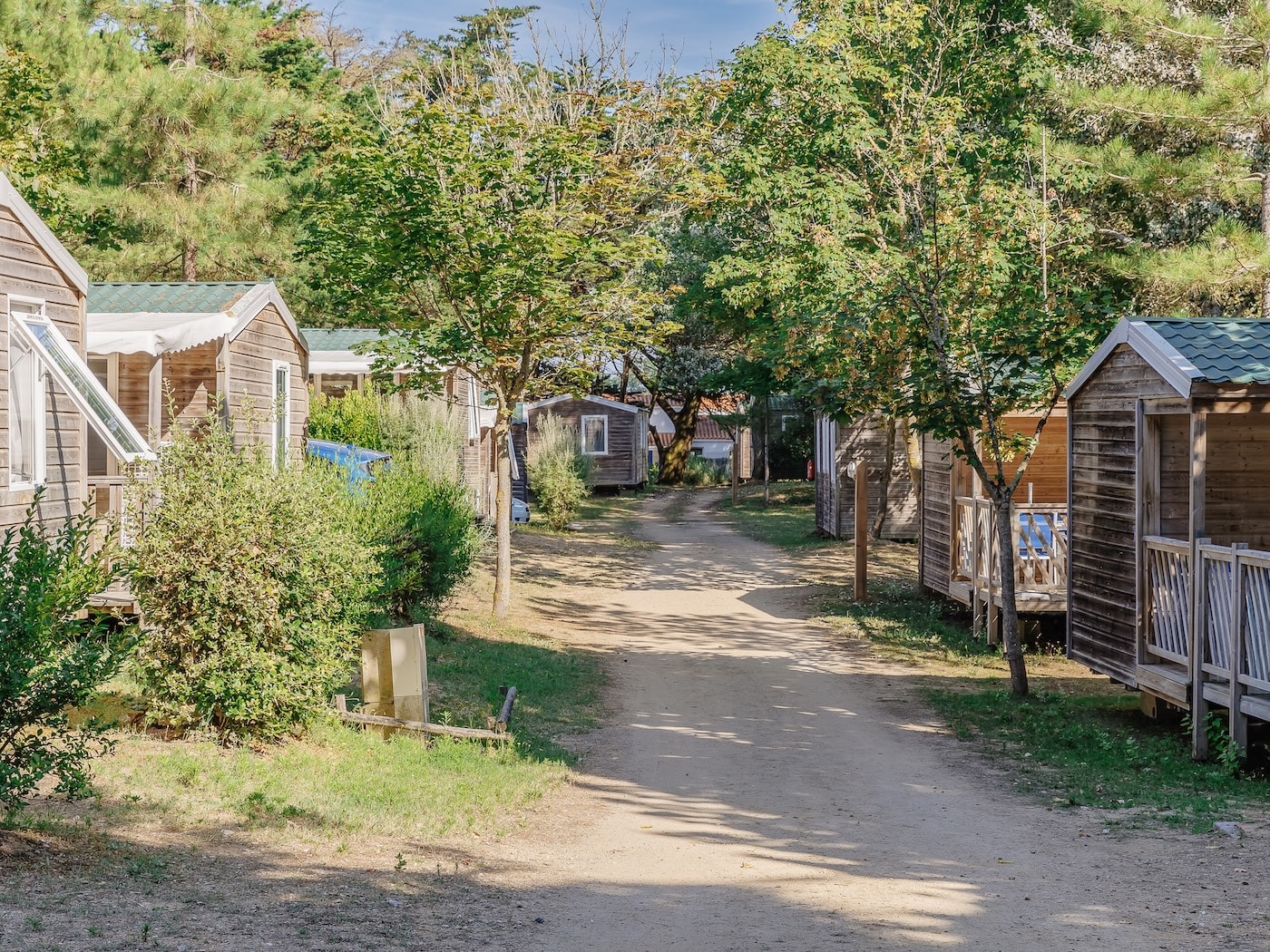 21 flowercamping demoiselles global (5)